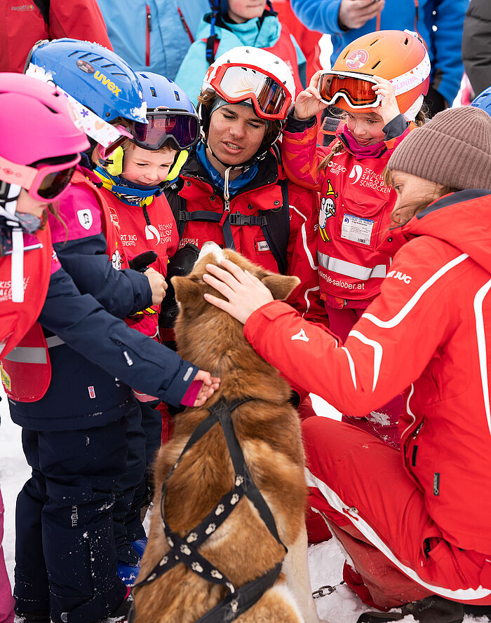 Een groep kinderen en twee skileraren aaien een bruine husky.