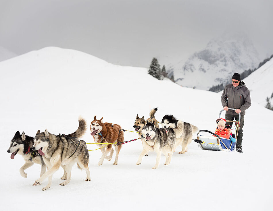 A man is steering a sledge pulled by six Huskies, with two young children sitting in the sledge