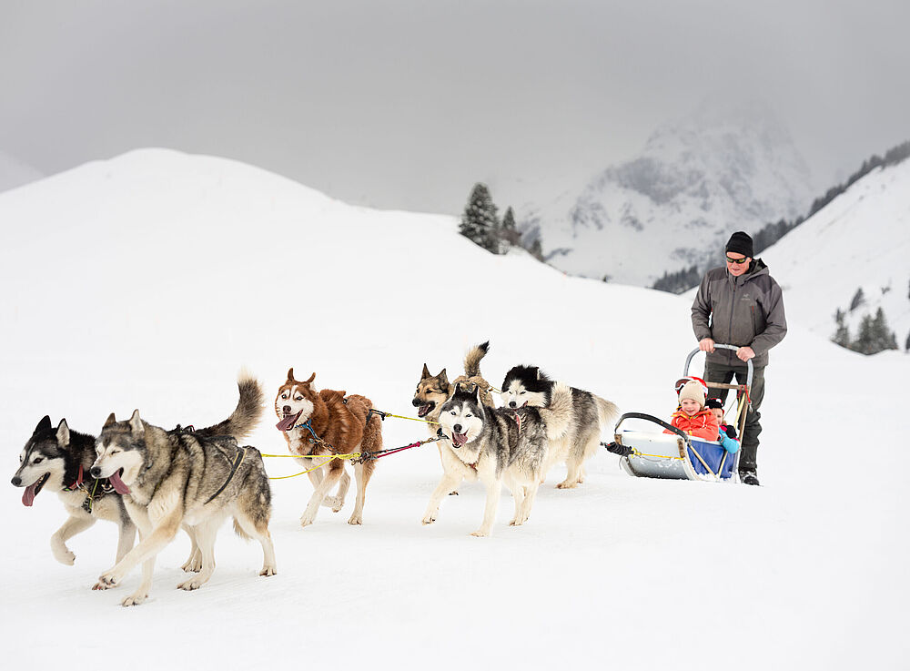 A man is steering a sledge pulled by six Huskies, with two young children sitting in the sledge